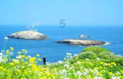 30岁初中学历的人还能考公务员吗?知识星球平台,专注知识共享